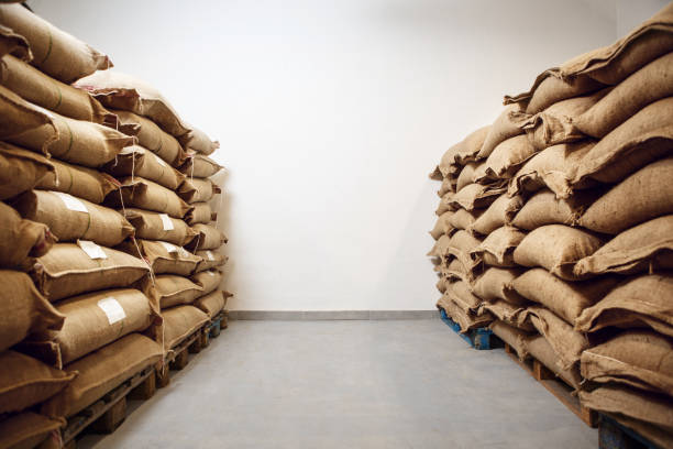 Rows of jute bags packed with coffee beans are neatly organized in a warehouse, waiting for processing and distribution to various suppliers.