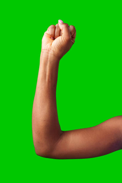 3D rendered power and strenght concept. Muscled arm for strength symbol.