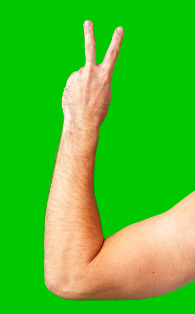 istock human arm gesturing with raised fingers against a bright green backdrop 2177716870