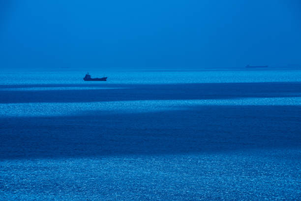 Cargo ships moving through the sea at blue hour in the evening