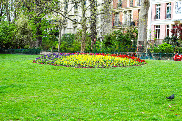 Photo is taken in The Garden society of Gothenburg, Sweden. Its a beautiful free public park in the middle of the city with no entrance fee.