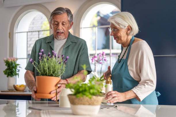 istock Senior Couple Tending to Indoor Plants 2177719014