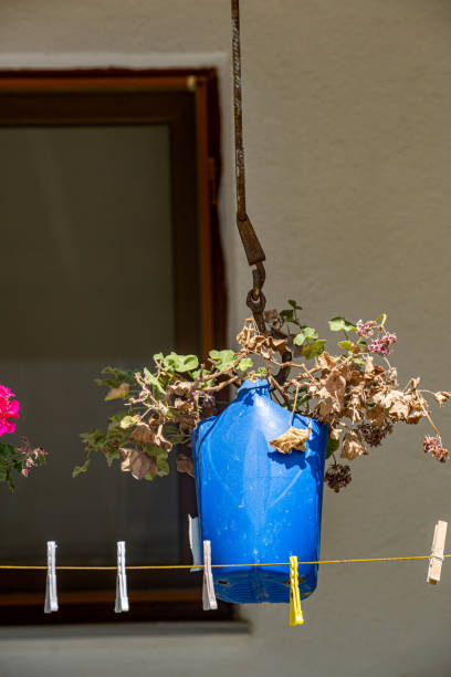 Flower pot made of blue plastic waste