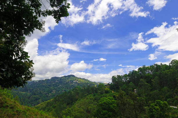 Little Adam's Peak hike offers one of the easiest ways to access incredible panoramic views of Ella and the surrounding mountains.