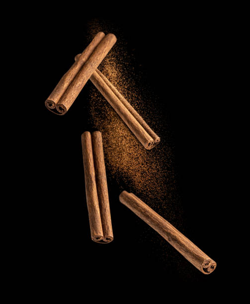 Falling dried scented brown cinnamon sticks spice and powder on black background used as condiment