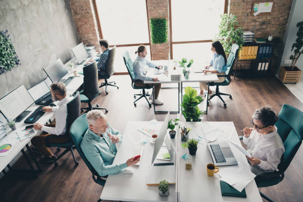 istock Full length top view photo of teamwork startup partners sit table work process comfortable nice creative startup office loft room interior 2177722508