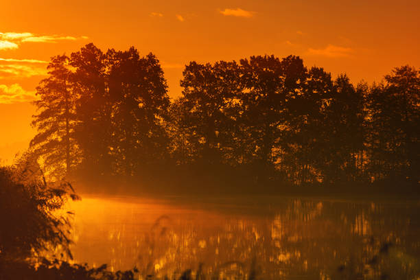 Autumn and foggy morning in a park with ponds and alleys. Autumn landscapes in Poland. Autumn wallpaper or background for your design