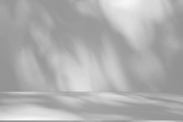 istock Wall interior background, studio and backdrops show products.with shadow from window color white . background for text insertion and presentation product 2177729635