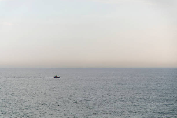 A solitary fishing boat navigates the vast expanse of the calm ocean. The scene is peaceful and serene, with the boat appearing small against the immense, open water. The light sky meets the horizon in soft, pale tones, suggesting either early morning or late afternoon. The absence of any nearby land or other boats emphasizes the remoteness and solitude of the vessel. This image captures a moment of tranquility and isolation, symbolizing both the hard work and solitude that often accompany the life of a fisherman. The distant birds hovering above the boat hint at the quiet productivity happening aboard.