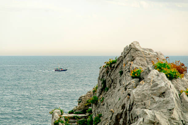 A solitary fishing boat navigates the vast expanse of the calm ocean. The scene is peaceful and serene, with the boat appearing small against the immense, open water. The light sky meets the horizon in soft, pale tones, suggesting either early morning or late afternoon. The absence of any nearby land or other boats emphasizes the remoteness and solitude of the vessel. This image captures a moment of tranquility and isolation, symbolizing both the hard work and solitude that often accompany the life of a fisherman. The distant birds hovering above the boat hint at the quiet productivity happening aboard.