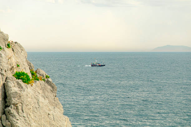 A solitary fishing boat navigates the vast expanse of the calm ocean. The scene is peaceful and serene, with the boat appearing small against the immense, open water. The light sky meets the horizon in soft, pale tones, suggesting either early morning or late afternoon. The absence of any nearby land or other boats emphasizes the remoteness and solitude of the vessel. This image captures a moment of tranquility and isolation, symbolizing both the hard work and solitude that often accompany the life of a fisherman. The distant birds hovering above the boat hint at the quiet productivity happening aboard.
