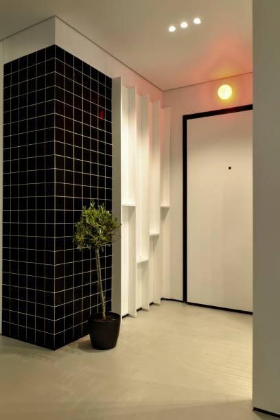 istock This modern hallway features a captivating minimalist design and stylish decor that impresses 2177736539