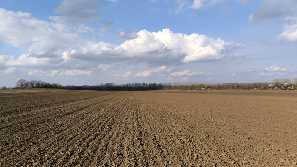 istock spring in rural landscape in Vojvodina 2177738431