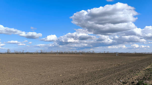 istock spring in rural landscape in Vojvodina 2177738771