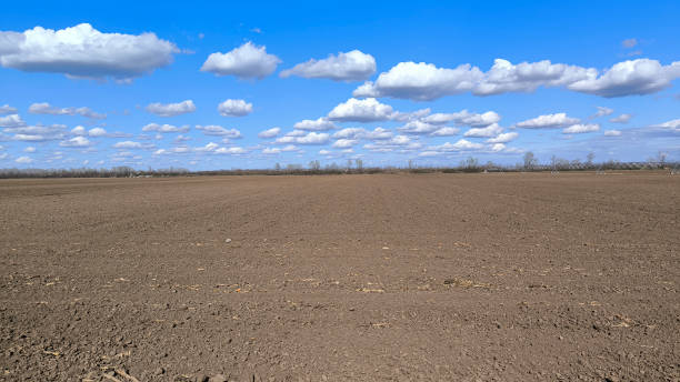 istock spring in rural landscape in Vojvodina 2177738857