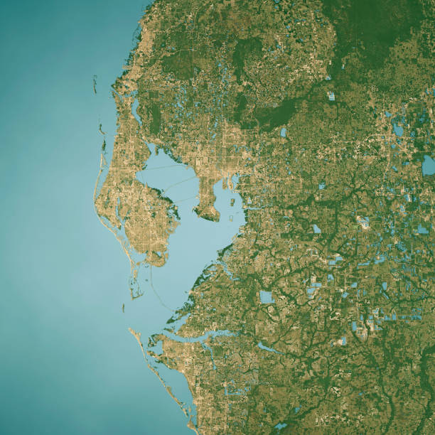 istock Tampa Bay Satellite Topographic Map 3D Render True Color 2177741503