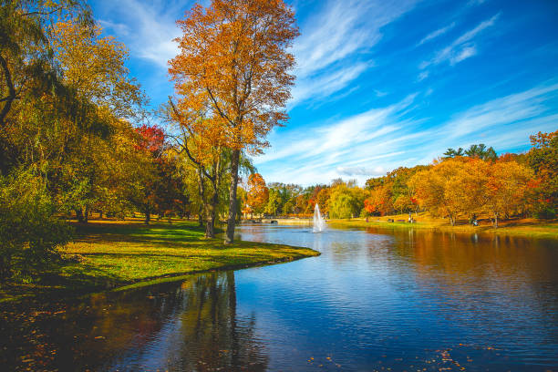 Beautiful park in Brookline, MA