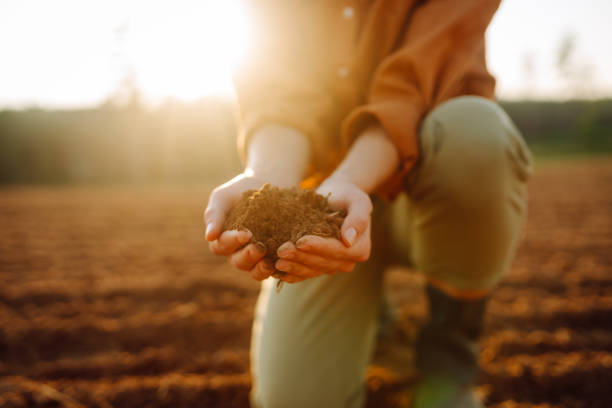 istock Close-up hands touching soil on the field. 2177743509