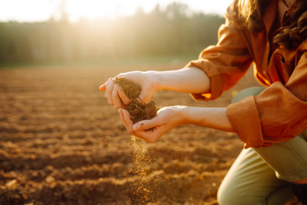 istock Close-up hands touching soil on the field. 2177743514