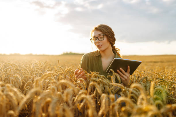 istock Young female farmer with a digital tablet in a wheat field. 2177744832