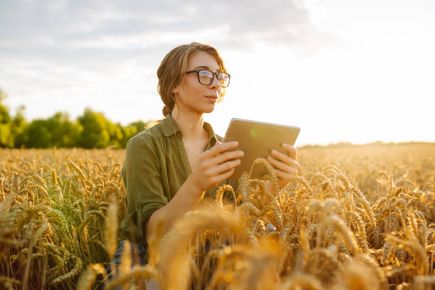 istock Young female farmer with a digital tablet in a wheat field. 2177744842