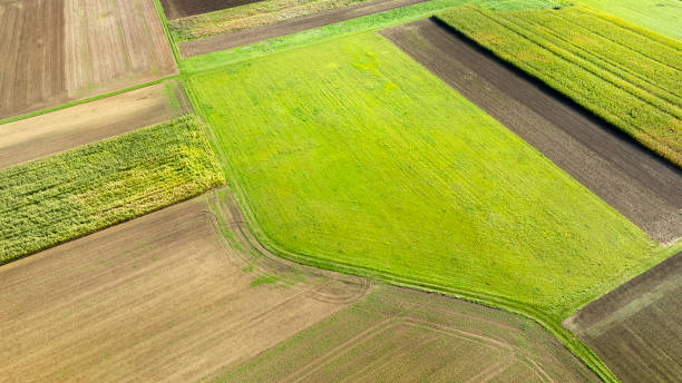 istock Aerial view of agricultural fields 2177758792