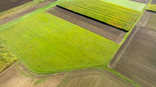 istock Aerial view of agricultural fields 2177758839