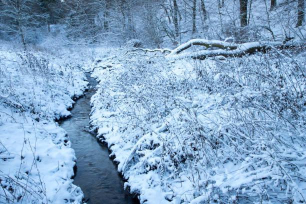 creek in forest winter with sow and branches fairytale scene