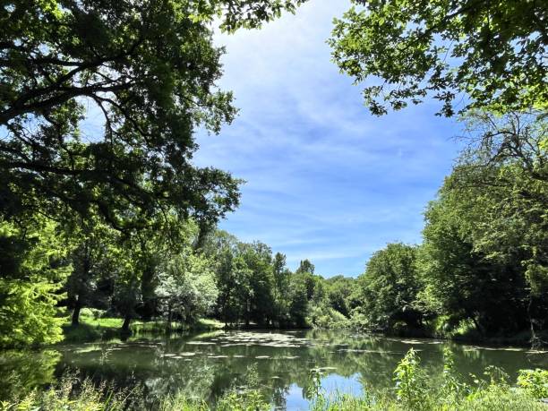 istock Tranquility of nature 2177766104