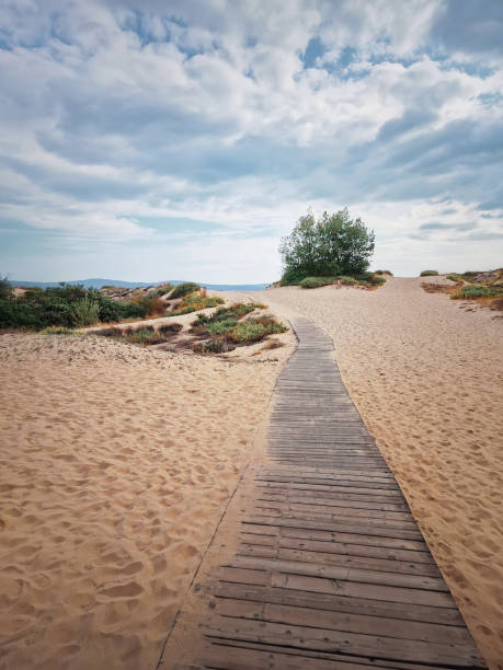 istock Wooden boardwalk meandering through sandy dunes with sparse vegetation under a cloudy sky, leading towards the sea on the horizon 2177767714