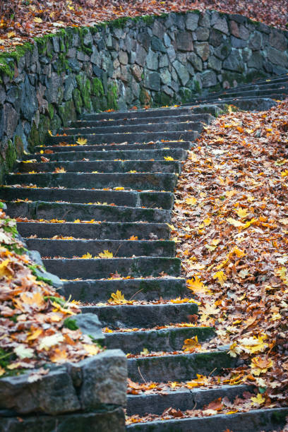 istock Old stone stairs in autumn park 2177772747