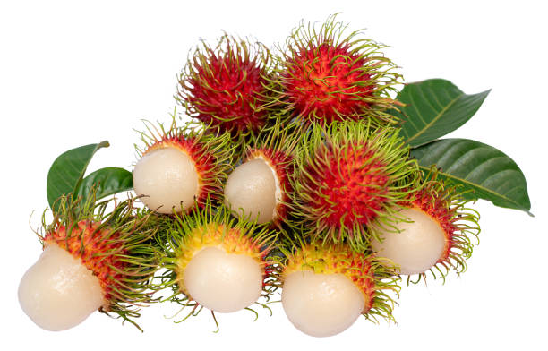 istock Rambutan isolated on white, Rambutan isolate with clipping path. 2177788749