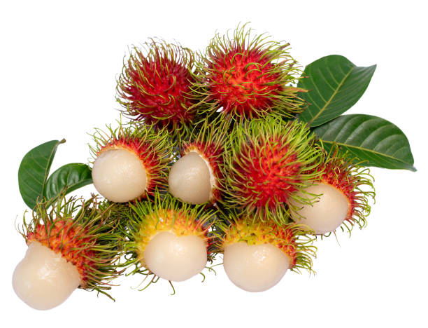 istock Rambutan isolated on white, Rambutan isolate with clipping path. 2177788852