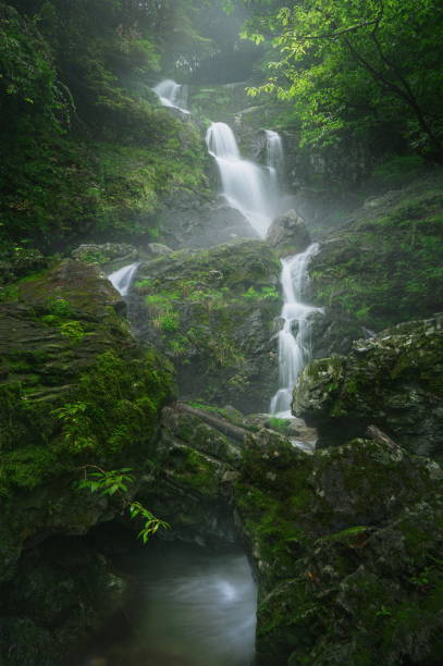 istock Waterfall flowing on mossy rocks filled with water fog 2177789651
