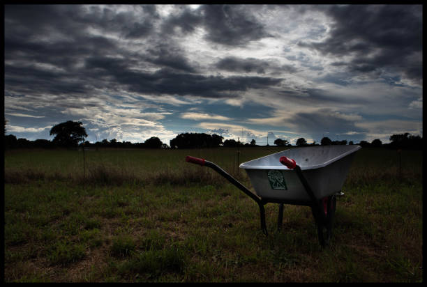 A wheelbarrow in a field with a stormy looking sky in the background
