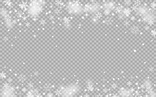 bildbanksillustrationer, clip art samt tecknat material och ikoner med delicate snowflakes on transparent background. snowflake overlay background - snöflingor