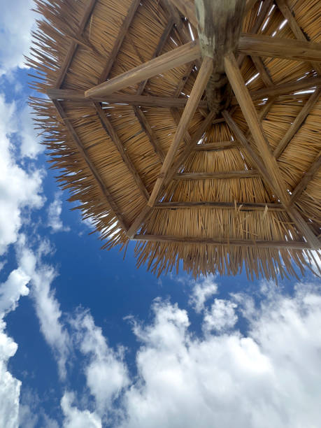 istock Tiki hut on a sandy tropical ocean beach vacation 2177796303