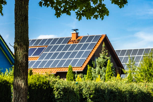 istock House with solar panels, focus on the tree 2177802258