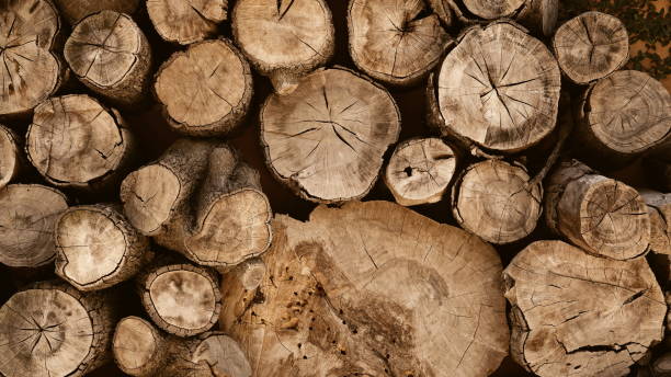 istock Wood Logs Close-Up Natural Horizontal 2177803266