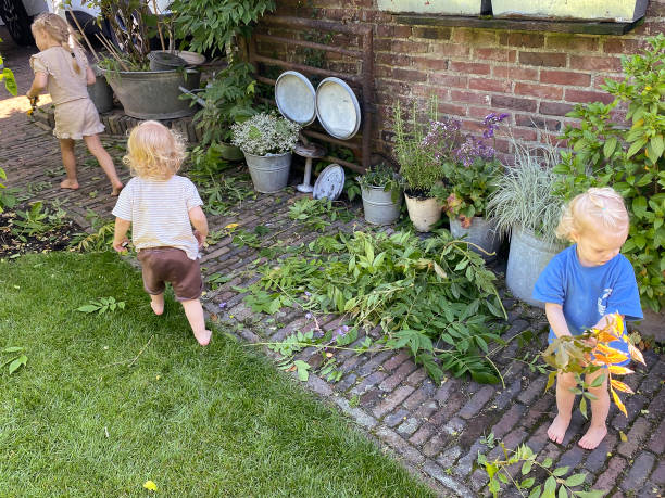 Fraternal Toddler Twin Playing in the Back Yard with there Toddle Sister on a Summer day