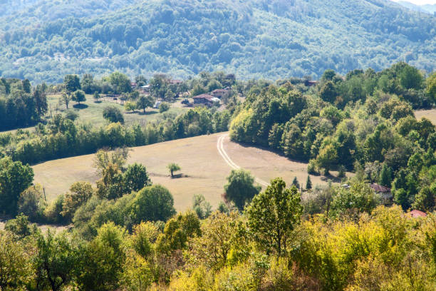 istock Rural landscape in summer 2177807807