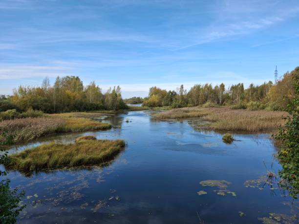 istock Nature in silence: the water surface of a lake 2177809315