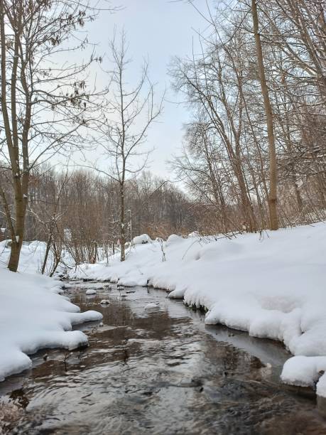 istock A winter's tale of the creek 2177810325