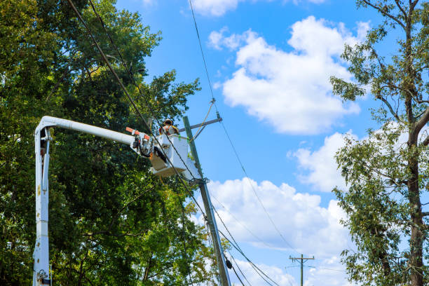 istock An emergency response team is working to restore power following severe hurricane that damaged a power line 2177813326