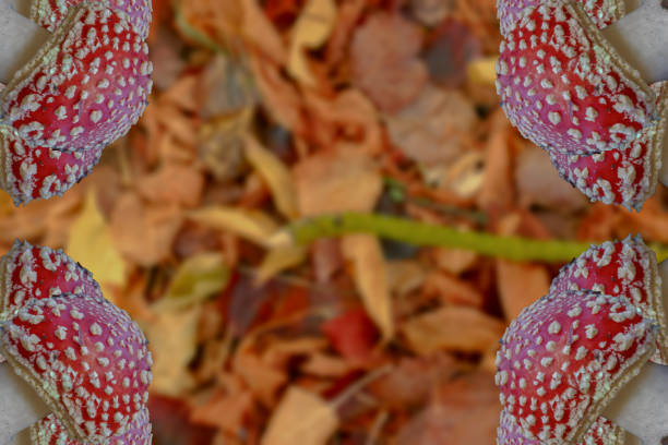 Autumn background in pastel colors with beautiful plants and mushrooms