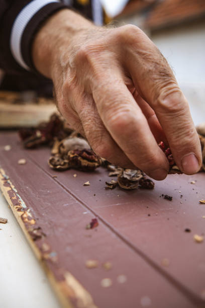 istock The best way to crack open walnuts 2177817343