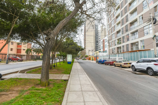 istock asphalt road with green areas in lima peru 2177822469