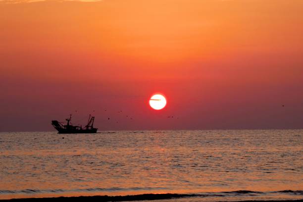 istock Fishing boat during dawn in Rimini 2177823416