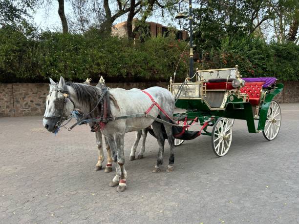 istock Horse and Cart in Marrakech 2177825211