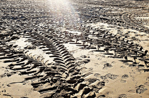Tracks left by a serious off-road tires on a beach.